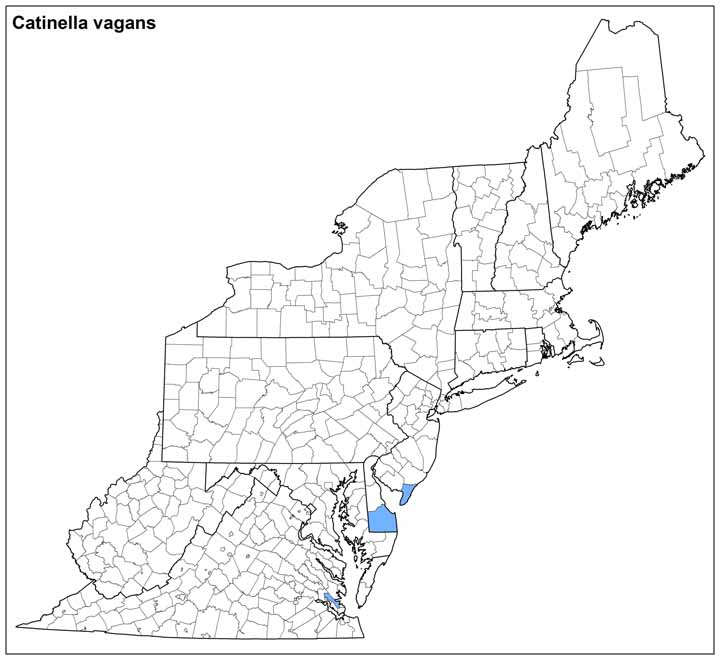Catinella vagans Range Map